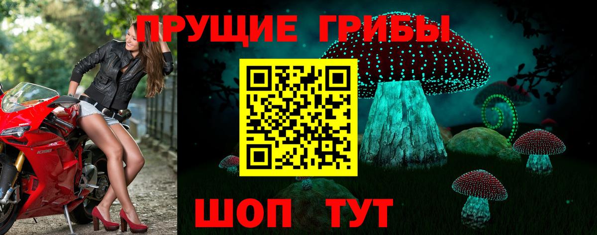 Псилоцибиновые грибы MAGIC MUSHROOMS Лениногорск