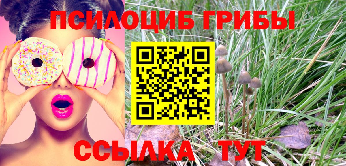 Лениногорск  Галлюциногенные грибы мицелий  Вход с VPN 